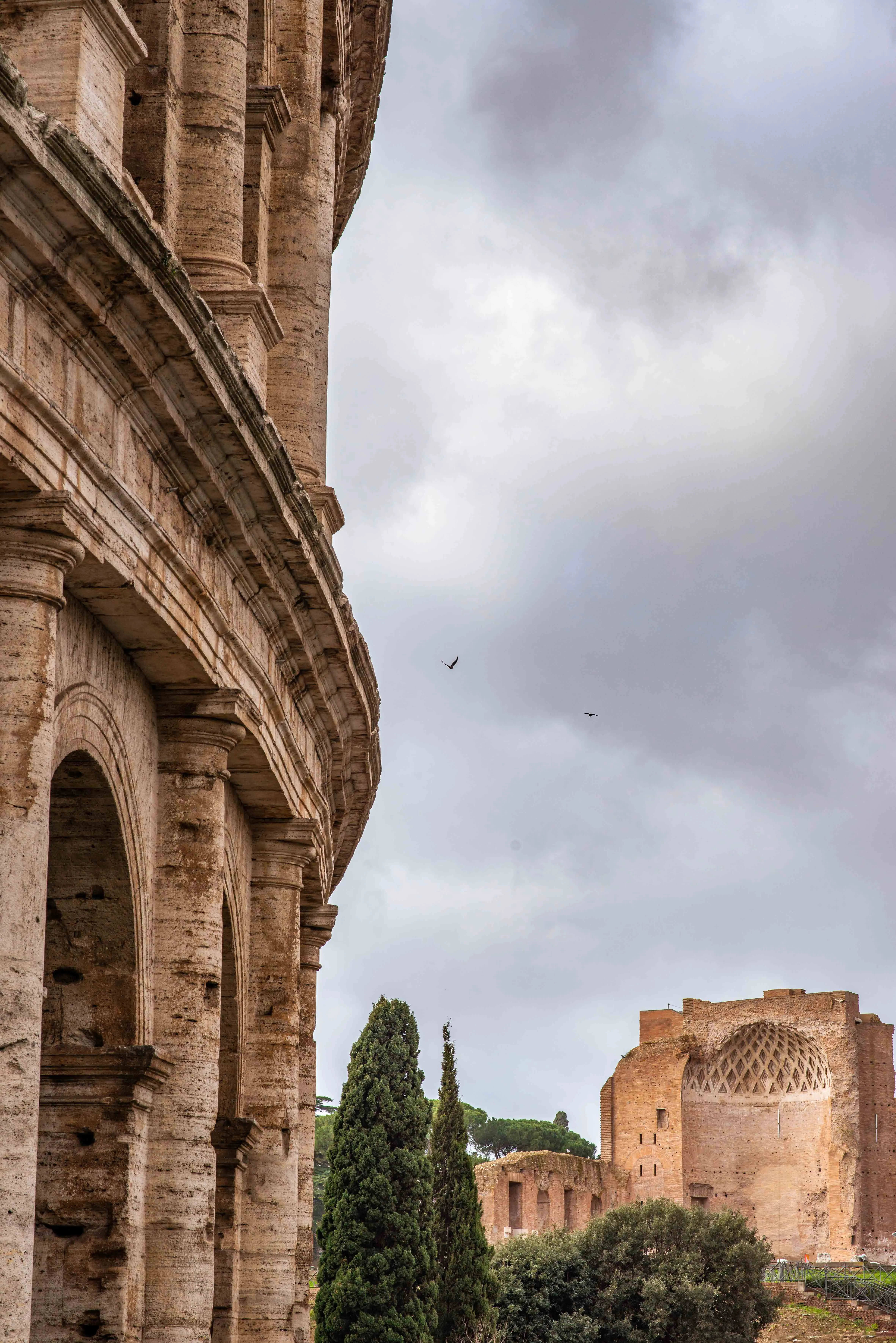 Roman Colosseum exterior architecture photography by Thomas McClure in Rome Italy bathed in warm afternoon sunlight