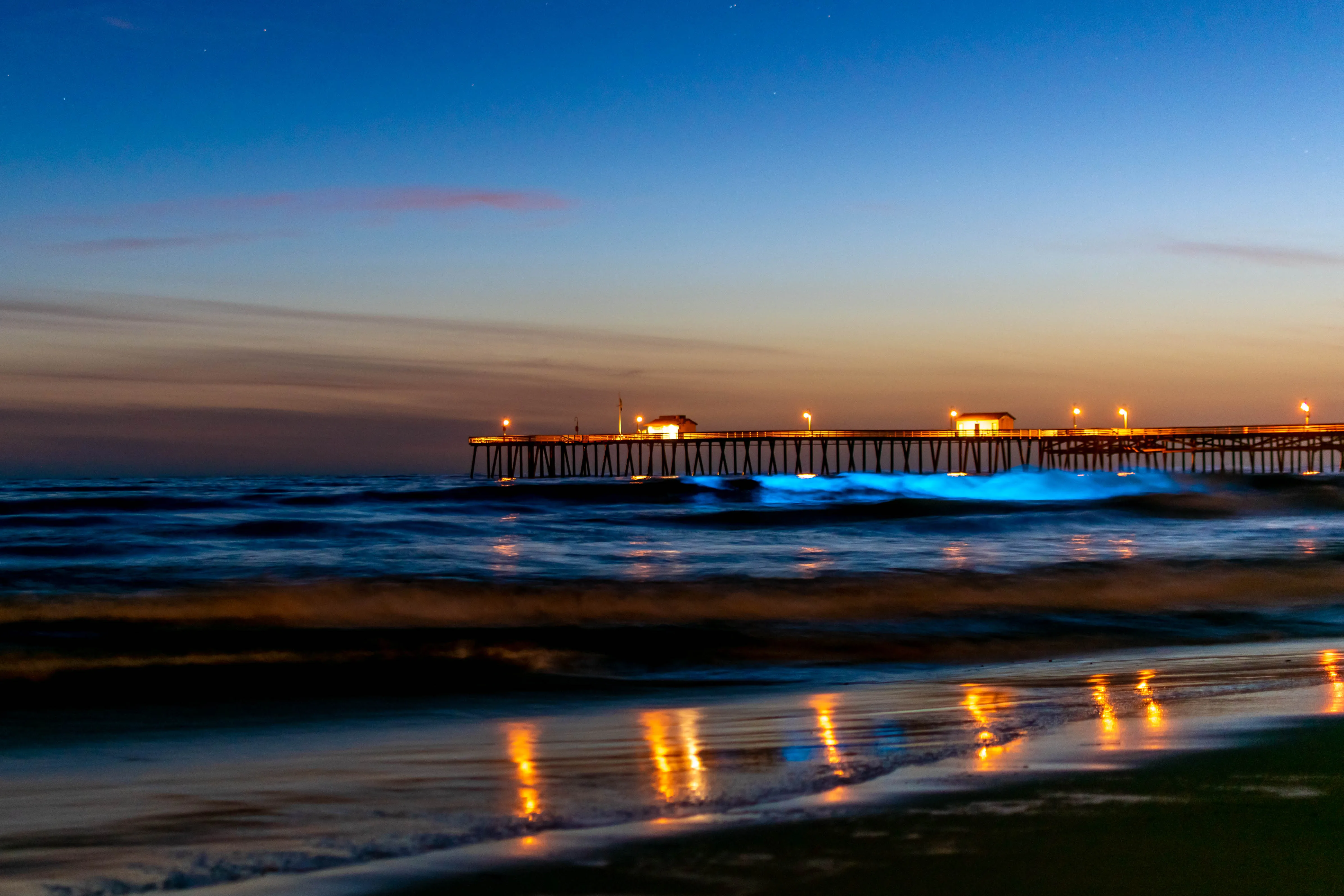 Long exposure nature photography by Thomas McClure of bioluminescent blue waves crashing at night in San Clemente California