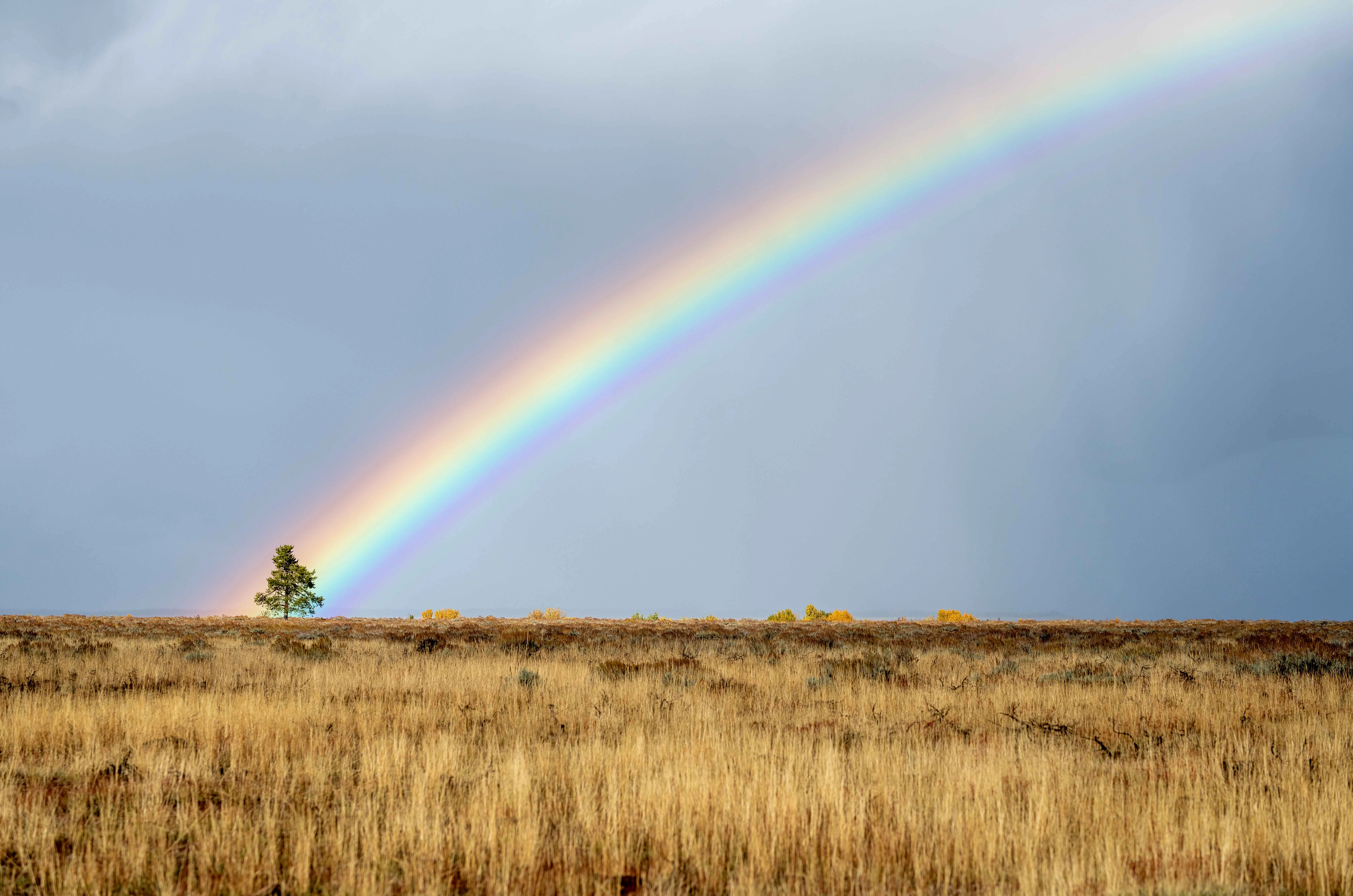 Thomas McClure landscape photography of a rainbow cutting through storm clouds over the plains in Moose Wyoming